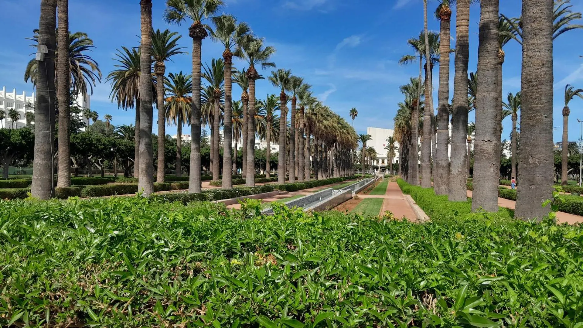 Studio Sympa Casablanca 0*,